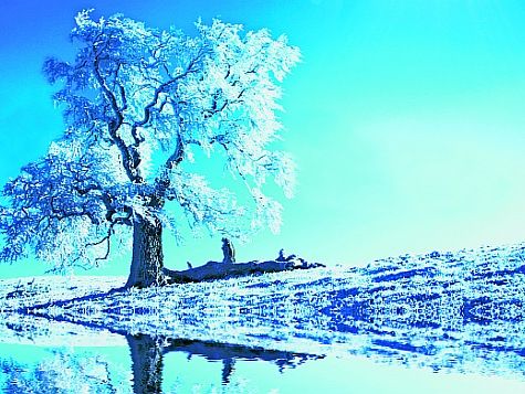 Galyna Andrushko / stock.adobe.com