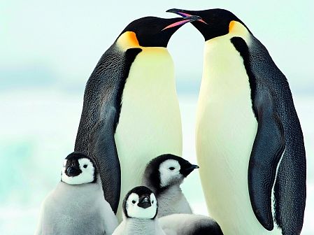 aussieanouk / stock.adobe.com