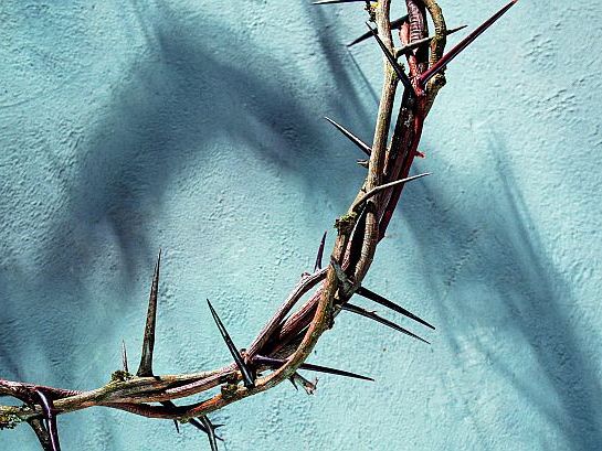 timonko / Getty Images