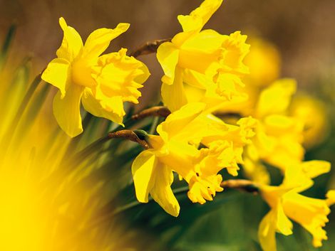 Tatjana Aleksejeva / Getty Images