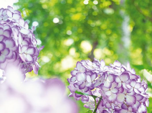 KENTA / stock.adobe.com