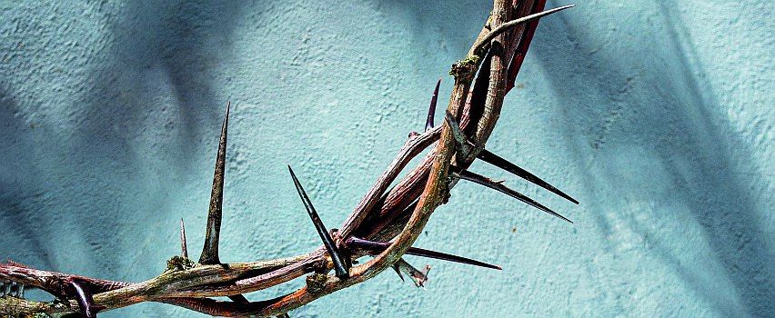 timonko / Getty Images