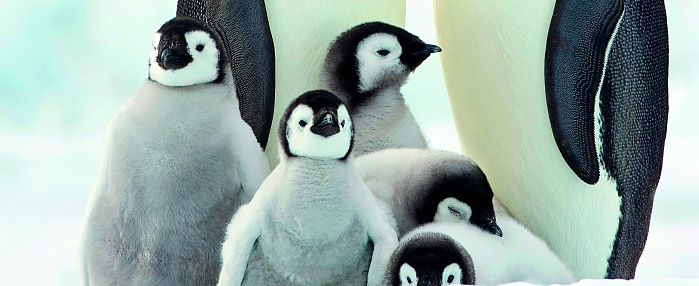 aussieanouk / stock.adobe.com