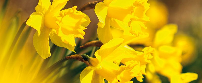 Tatjana Aleksejeva / Getty Images