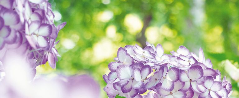 KENTA / stock.adobe.com