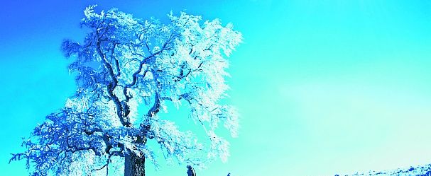 Galyna Andrushko / stock.adobe.com