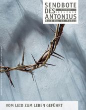 timonko / Getty Images