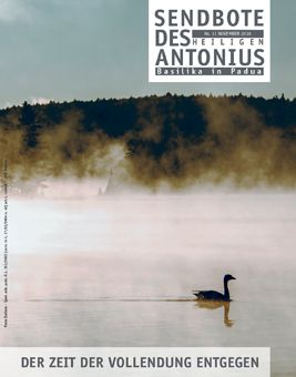 Sendbote des hl. Antonius November 2018